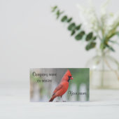 Kardinals-Foto Visitenkarte (Stehend Vorderseite)