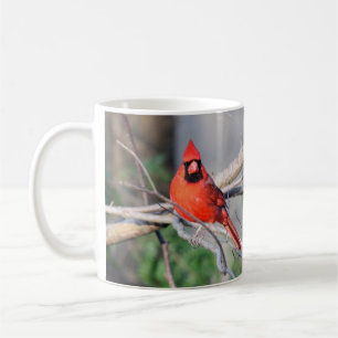 Kardinals-Frühlings-Holz Kaffeetasse