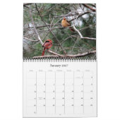 Kardinals-Kalender Kalender (Jan 2027)