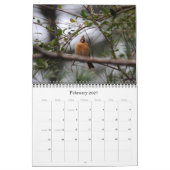 Kardinals-Kalender Kalender (Feb 2027)