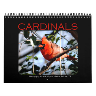 Kardinals-Kalender Kalender