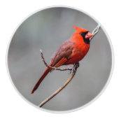 Kardinals-Keramik-Griff Keramikknauf (Vorderseite)