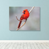 Kardinals-Leinwand-Druck Leinwanddruck (Insitu (Holzboden))