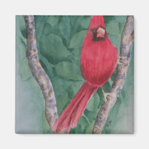 Kardinals-Magnet Magnet