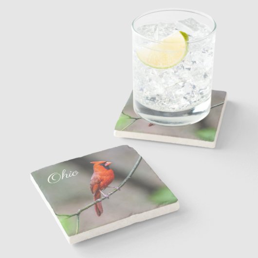 Kardinals-OhiosteinUntersetzer Steinuntersetzer (Seitenansicht)