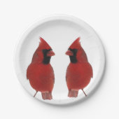 Kardinals-PapierTeller Pappteller (Vorderseite)