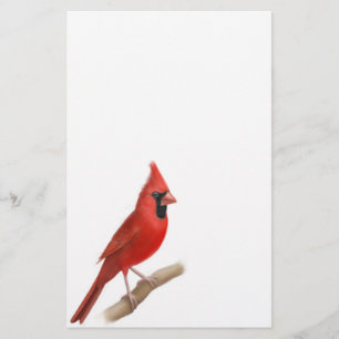 Kardinals-rotes Vogel-Mannesbriefpapier Briefpapier