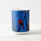 Kardinals-Tasse Kaffeetasse (Mittel)