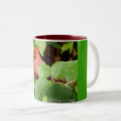 Kardinals-Tasse Zweifarbige Tasse (VorderseiteRechts)