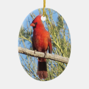 Kardinals-Verzierung Keramikornament