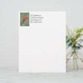 Kardinals-Vogel-Foto Briefbogen (Stehend Vorderseite)