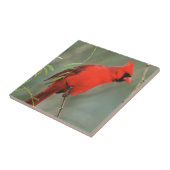 Kardinals-Vogel-Foto Fliese (Seite)