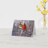 Kardinals-Waldanmerkungs-Karte Karte (Gelbe Blume)