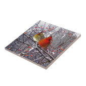 Kardinals-Waldfliese Fliese (Seite)