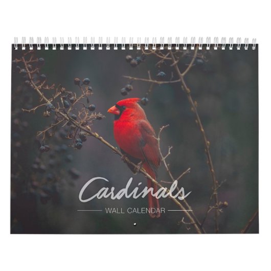 Kardinals-Wandkalender Kalender (Titelbild)