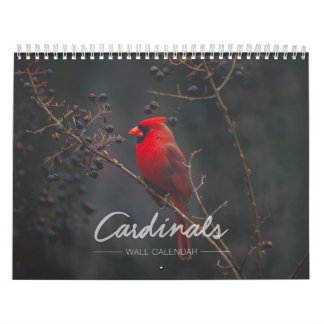 Kardinals-Wandkalender Kalender