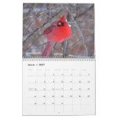 Kardinals-Wandkalender Kalender (Mär 2027)