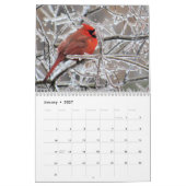 Kardinals-Wandkalender Kalender (Jan 2027)