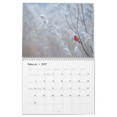 Kardinals-Wandkalender Kalender (Feb 2027)