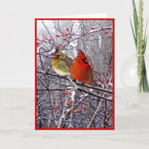Kardinals-Weihnachten Feiertagskarte