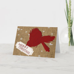 Kardinals-Weihnachtskarte Feiertagskarte