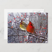 Kardinals-Weihnachtspostkarte Feiertagspostkarte (Vorne/Hinten)