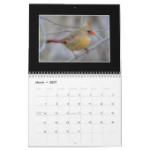 Kardinalskalender Kalender (Mär 2027)