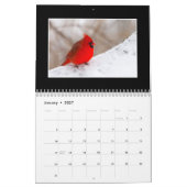 Kardinalskalender Kalender (Jan 2027)