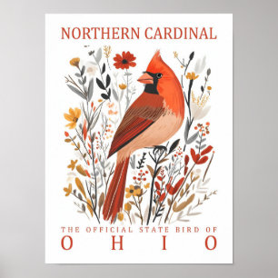 Kardinalvogel Nordkardinal aus Ohio USA Poster