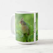 Kardinalvogeltasse Kaffeetasse (Vorderseite Links)