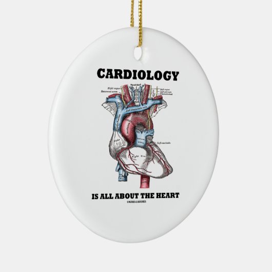 Kardiologie ist ganz über das Herz (anatomisch) Keramik Ornament (Rechts)