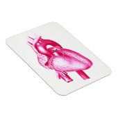 Kardiologie Pop Kunst: Anatomie des rosa menschlic Magnet (Rechte Seite)