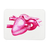 Kardiologie Pop Kunst: Anatomie des rosa menschlic Magnet (Horizontal)