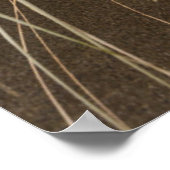 Karekare Beach | Insel Panatahi, Westküste Poster (Ecke)