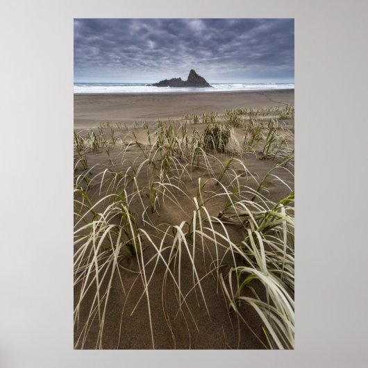 Karekare Beach | Insel Panatahi, Westküste Poster (Vorne)