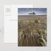 Karekare Beach | Insel Panatahi, Westküste Postkarte (Vorne/Hinten)