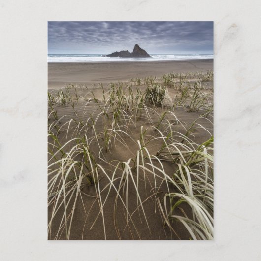 Karekare Beach | Insel Panatahi, Westküste Postkarte (Vorderseite)