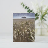 Karekare Beach | Insel Panatahi, Westküste Postkarte (Stehend Vorderseite)