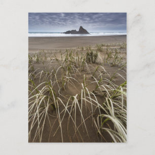 Karekare Beach   Insel Panatahi, Westküste Postkarte