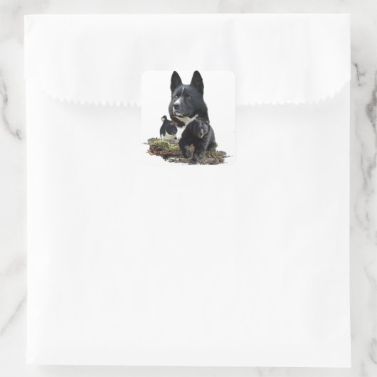 Karelian Bärenhundsticker Quadratischer Aufkleber (Tasche)