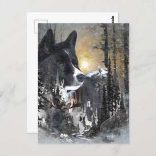 Karelian Bear Dog Postkarte