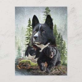 Karelian Bear Dog Postkarte