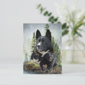 Karelian Bear Dog Postkarte (Stehend Vorderseite)