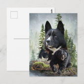 Karelian Bear Dog Postkarte (Vorne/Hinten)