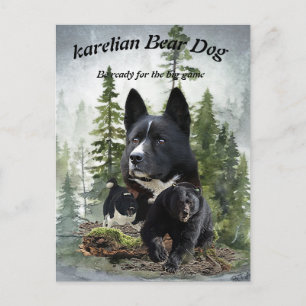 Karelian Bear Dog Postkarte