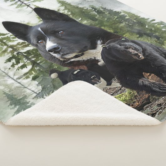 Karelian Bear Dog Sherpadecke (3/4)