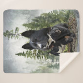 Karelian Bear Dog Sherpadecke (Vorderseite (Horizontal))