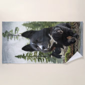 Karelian Bear Dog Strandtuch (Vorderseite)