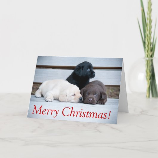 Karemy Puppy Christmas Card Feiertagskarte (Vorderseite)