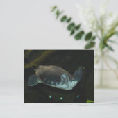 Karettschildkröte Postkarte (Stehend Vorderseite)